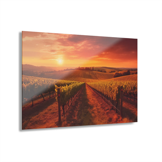 Scenic Vineyard Sunset — Acrylic Wall Art