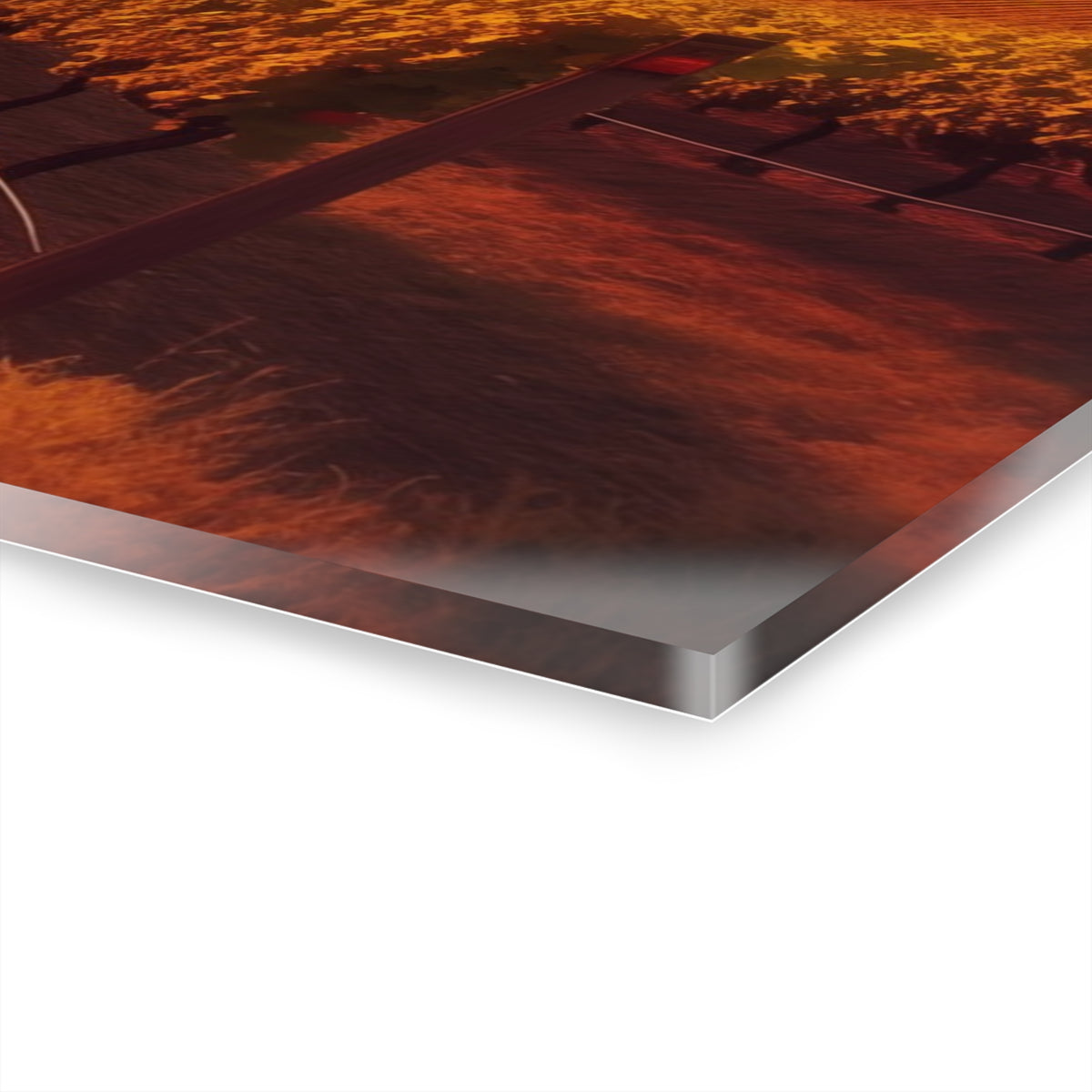 Scenic Vineyard Sunset — Acrylic Wall Art