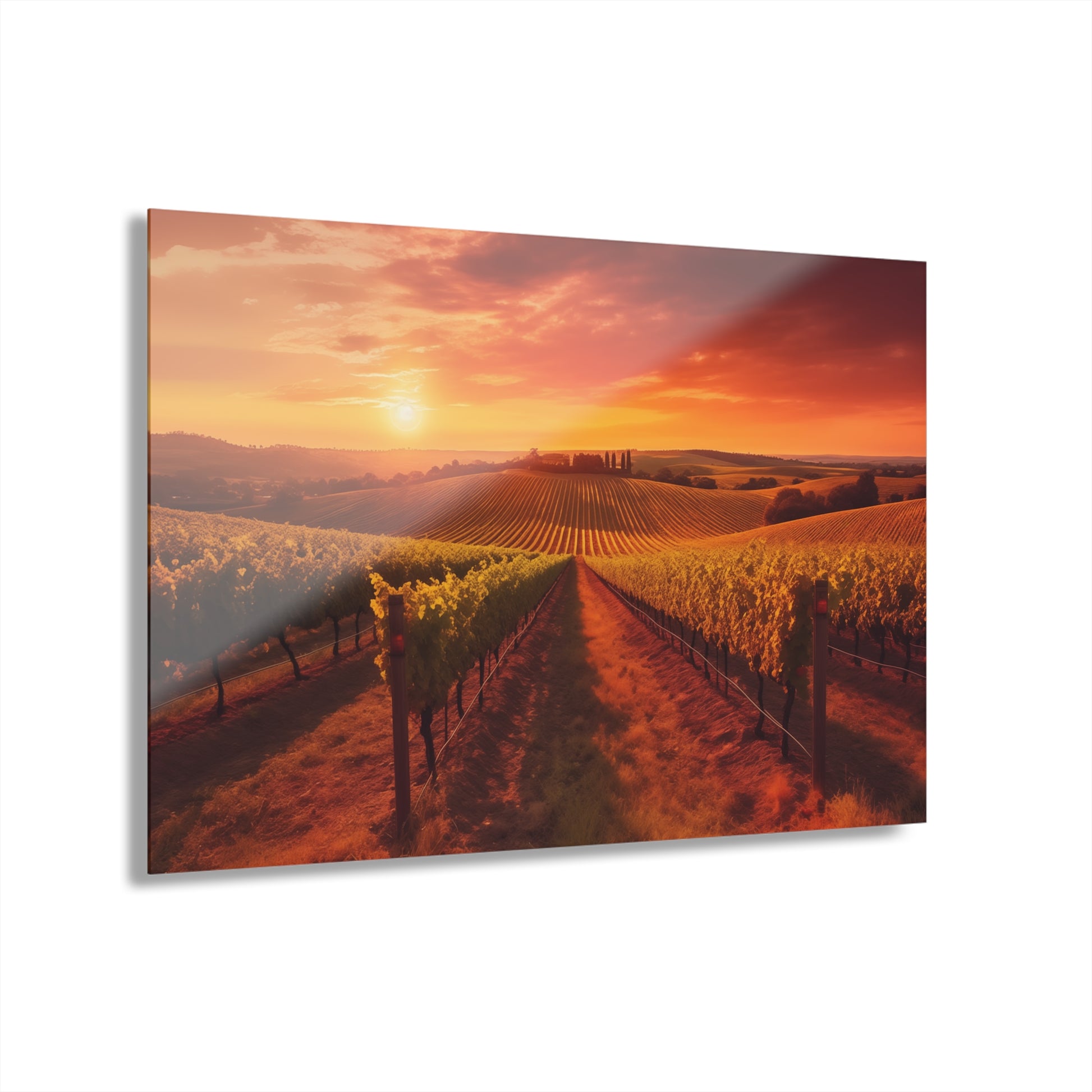 Scenic vineyard sunset acrylic wall art print in horizontal format