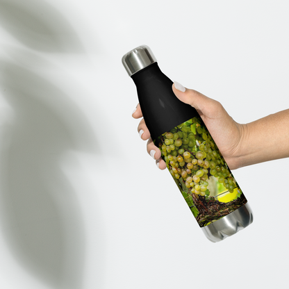 Vineyard Harvest — Stainless Water Bottle — Black