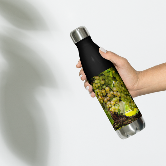 Vineyard Harvest — Stainless Water Bottle — Black
