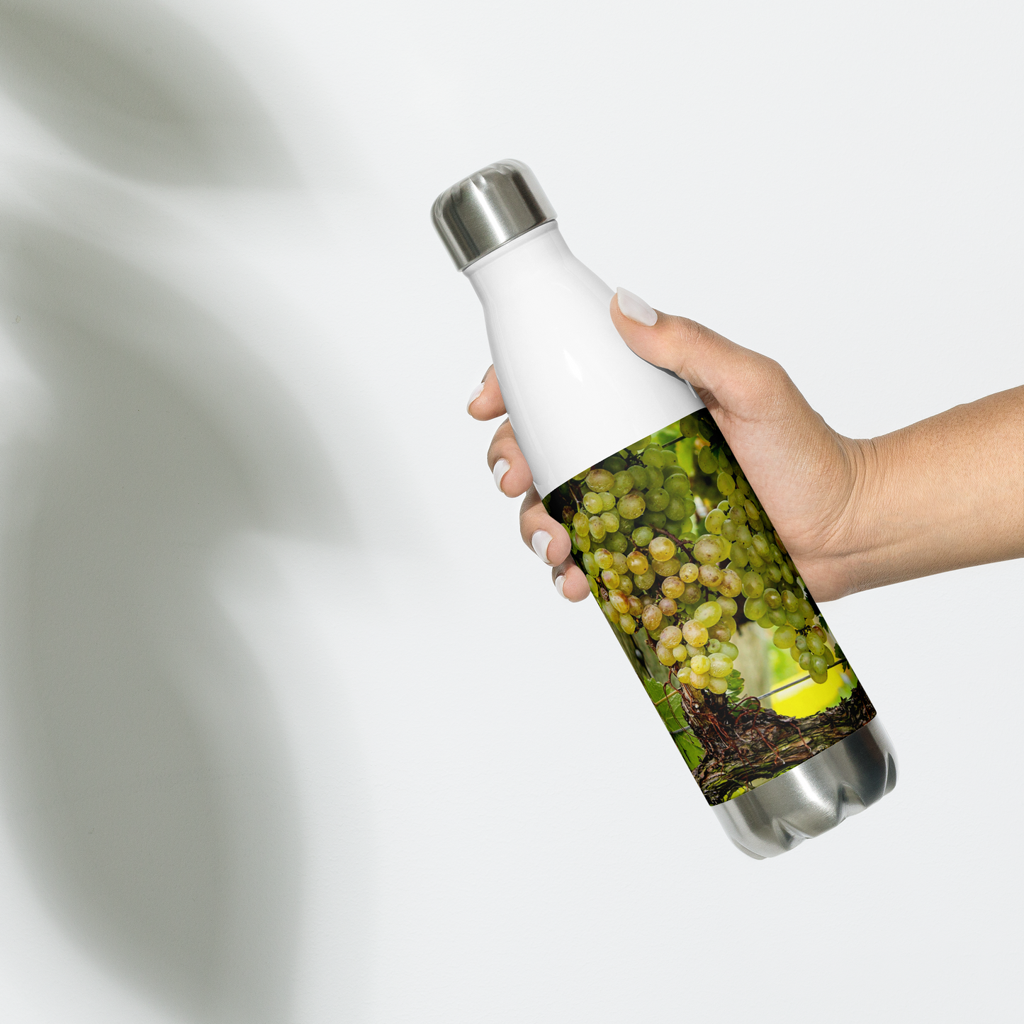Vineyard Harvest — Stainless Water Bottle — White