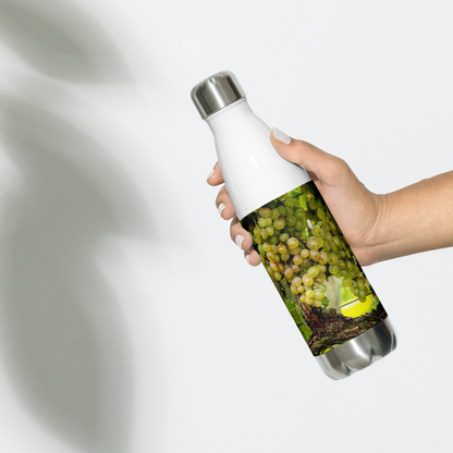 Vineyard Harvest — Stainless Water Bottle — White